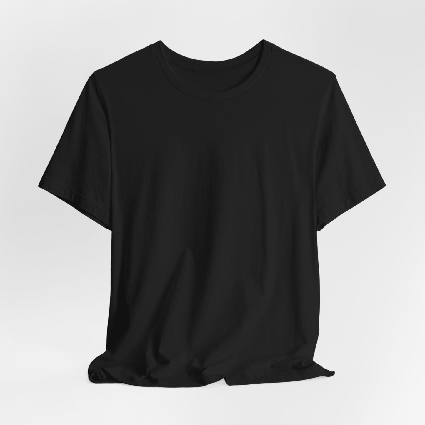 "I Am From Bosnia, Take Me to America" Graphic Tee