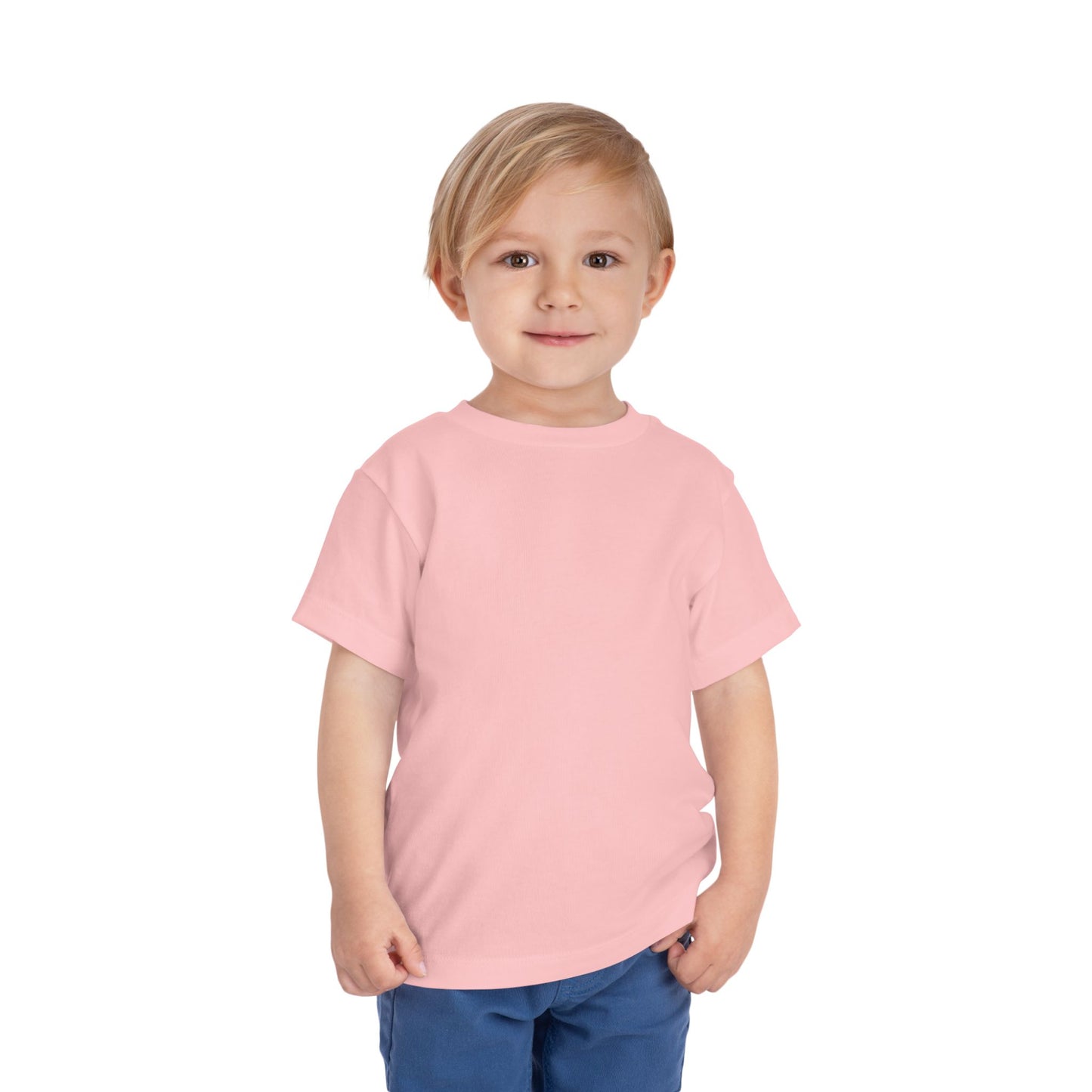 Toddler Tee "I Am From Bosnia, Take Me to America"